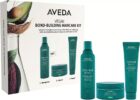 Aveda Botanical Repair Bond building haircare kit, 1 st Aveda Shampoo