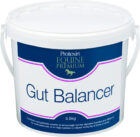 Equine Premium Gut Balancer 3,5 kg