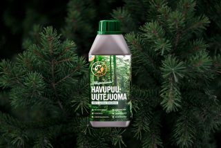 havupuu-uutejuoma-hy-dyt-ja-terveysvaikutukset-luontaistuotekauppa