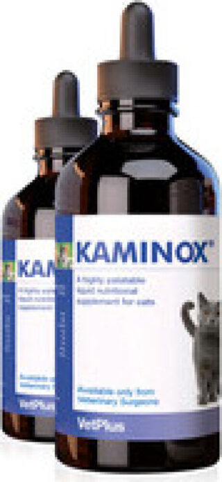 Kaminox 120 ml