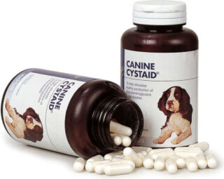 VetPlus Canine Cystaid 120 kpl